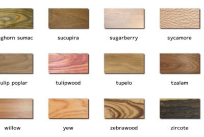 Wood Species